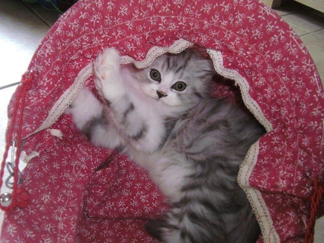 ... guten Morgen, ich bin wach! | Foto: oh