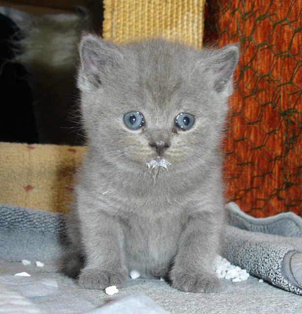 ... puh, bin ich aber satt ... | Foto: oh