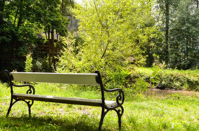 Der wunderschöne Park dient wie das Wasserschloss Mitwitz selbst oft als Kulisse und Ort für Hochzeitsfeierlichkeiten. | Foto: Nicole Fuchsbauer