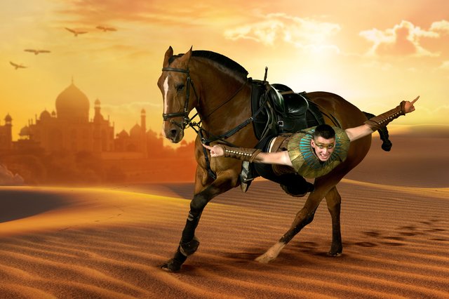 Apassionata: ,,Die goldene Spur". Trickreiten. | Foto: Apassionata