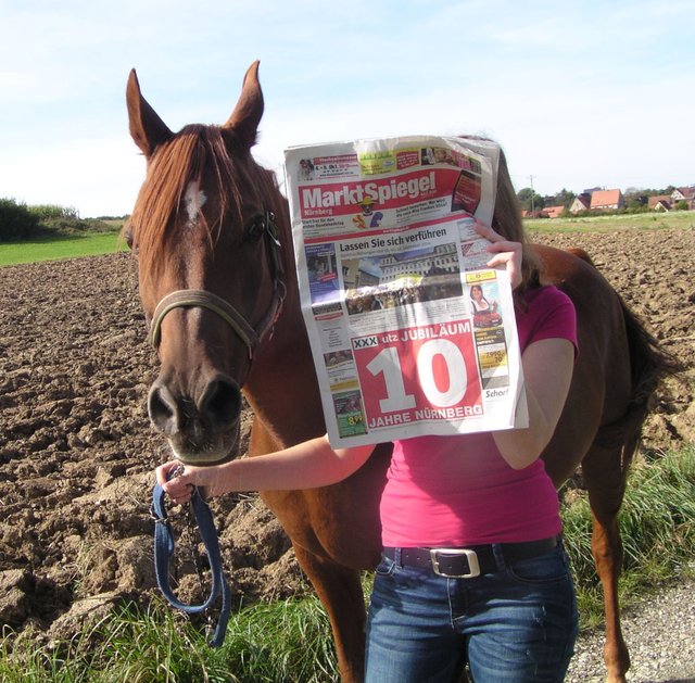 Da will auch das Pferd mitlesen.