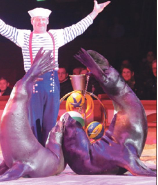 Roland Duss und seine See-löwen spielten sich in die Herzen der Zuschauer. Foto: oh