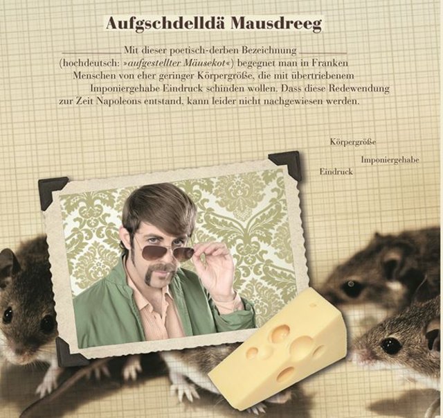 Franken-Deutsch, Deutsch-Franken. Der neue fränkische Schimpf- und Redensart Kalender 2015 | Foto: oh/ars vivendi