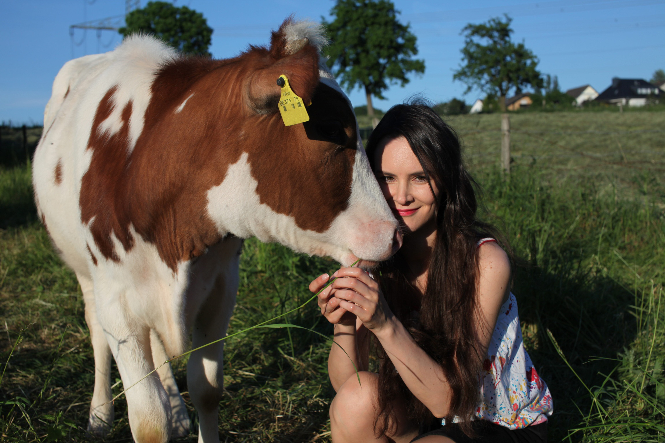 Filmstart für Los Veganeros, die erste Veggie-Komödie Deutschlands.