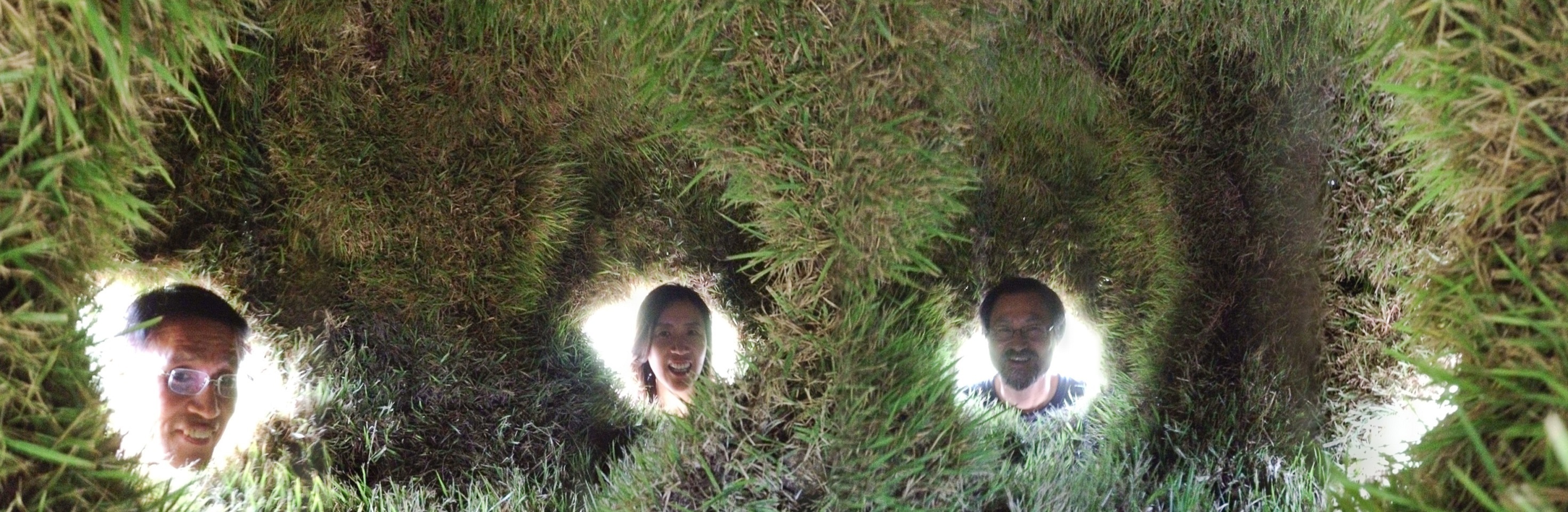 Der „5-er Garten“, ein Kunstobjekt vor allem für grünflächenarme Großstädte. Fünf Menschen können gleichzeitig ihren Kopf in den innen mit Gras bewachsenen, tragbaren Garten stecken und sich über Gras im Allgemeinen und Kunst im Besonderen austauschen.