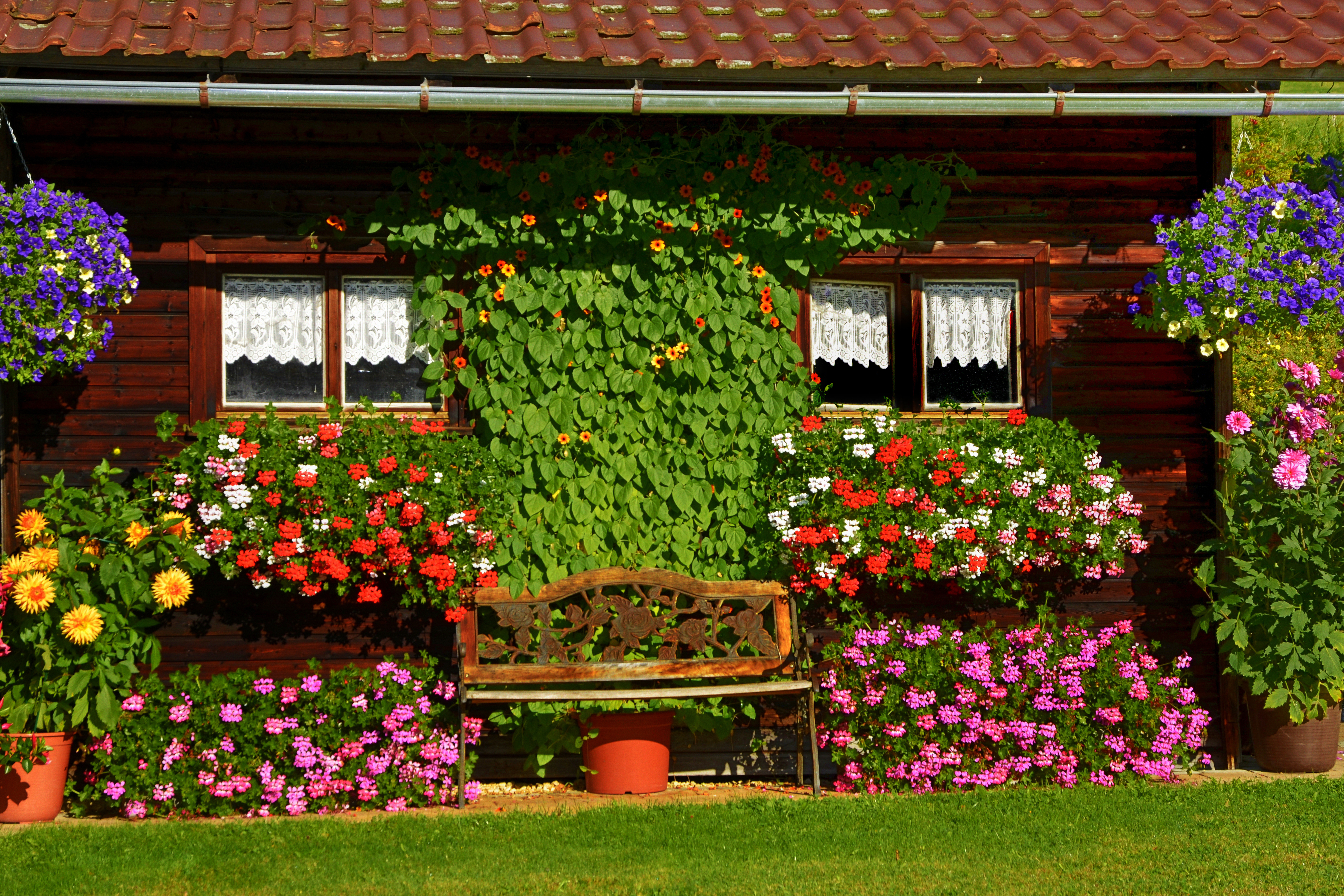 Foto: © anni94 - Fotolia