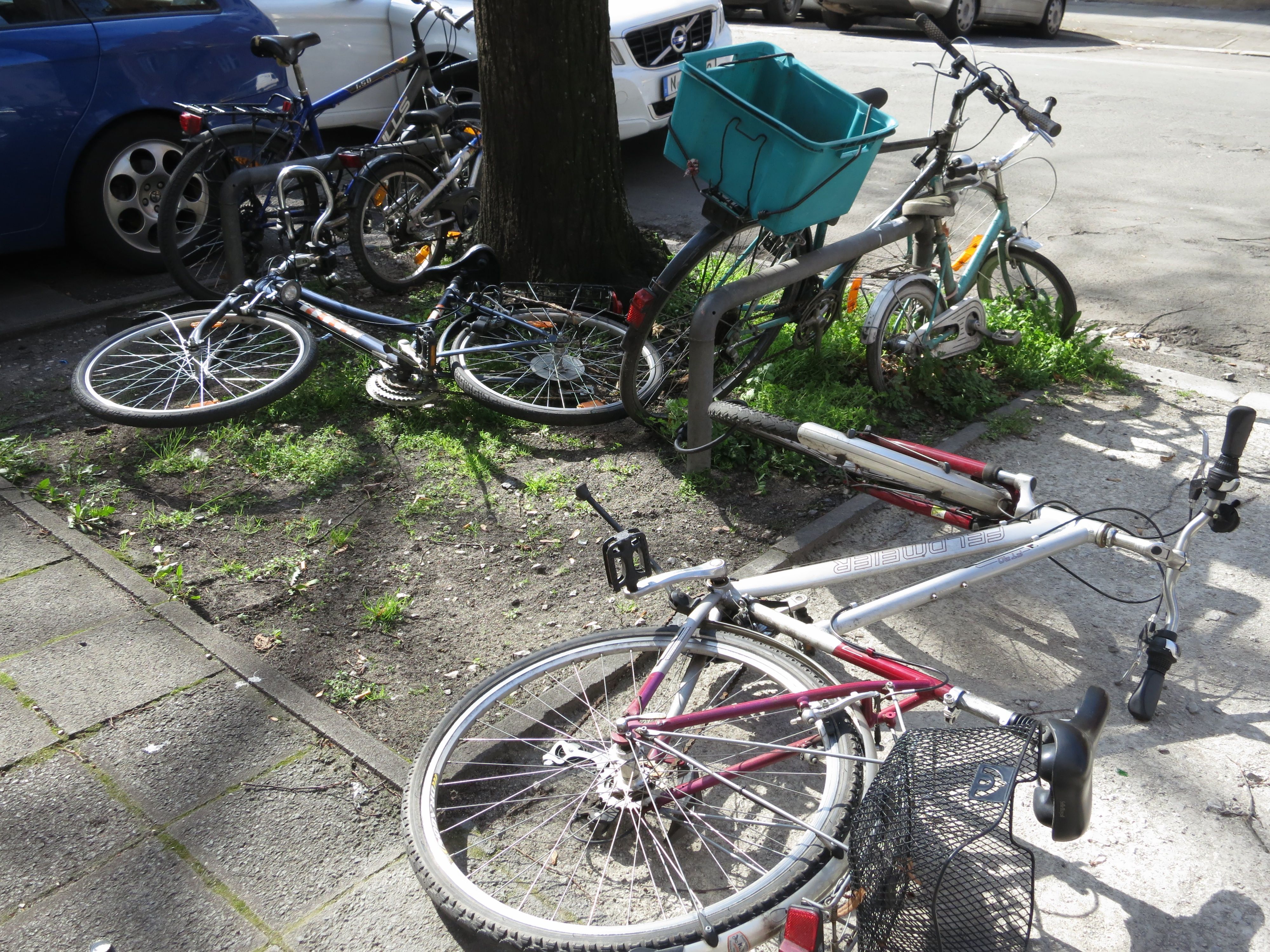 ,,Wild" abgestellte Fahrräder wie hier im Bild an einer Baumscheibe beeinträchtigen andere Verkehrsteilnehmer, insbesondere Fußgängerinnen und Fußgänger.