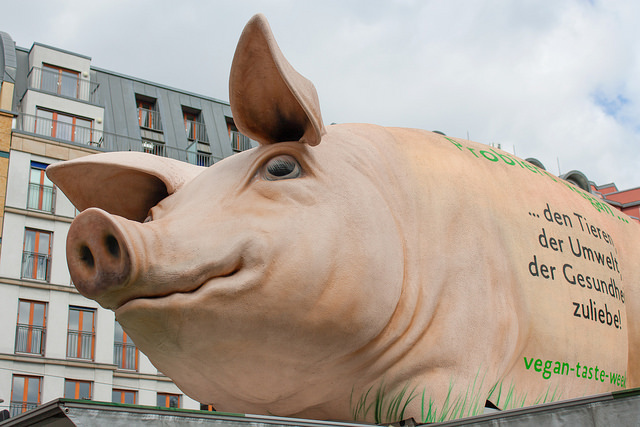 Aktion GrunzMobil: Die Albert Schweitzer Stiftung für unsere Mitwelt setzt sich seit dem Jahr 2000 gegen die Massentierhaltung und für die Verbreitung der veganen Lebensweise ein. Mehr erfahren Sie über @SchweitzerTiere auf Twitter und unter http://albert-schweitzer-stiftung.de.