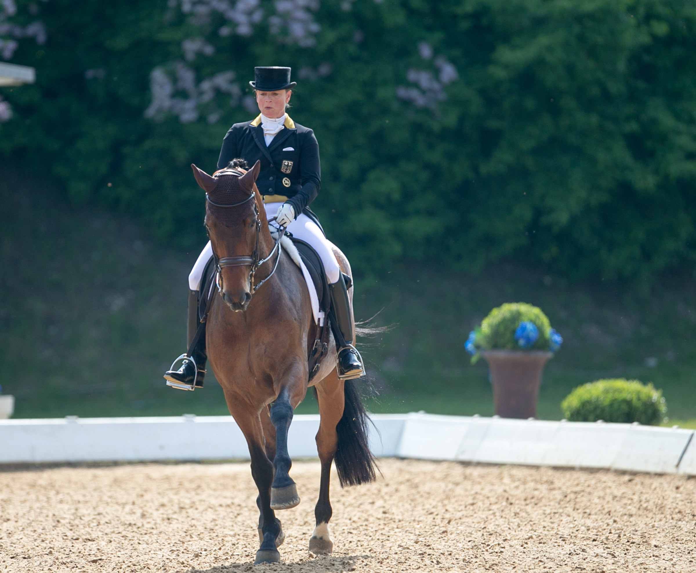 Dressur B, Finale der Pferd International: Isabell Werth mit Don Johnson.