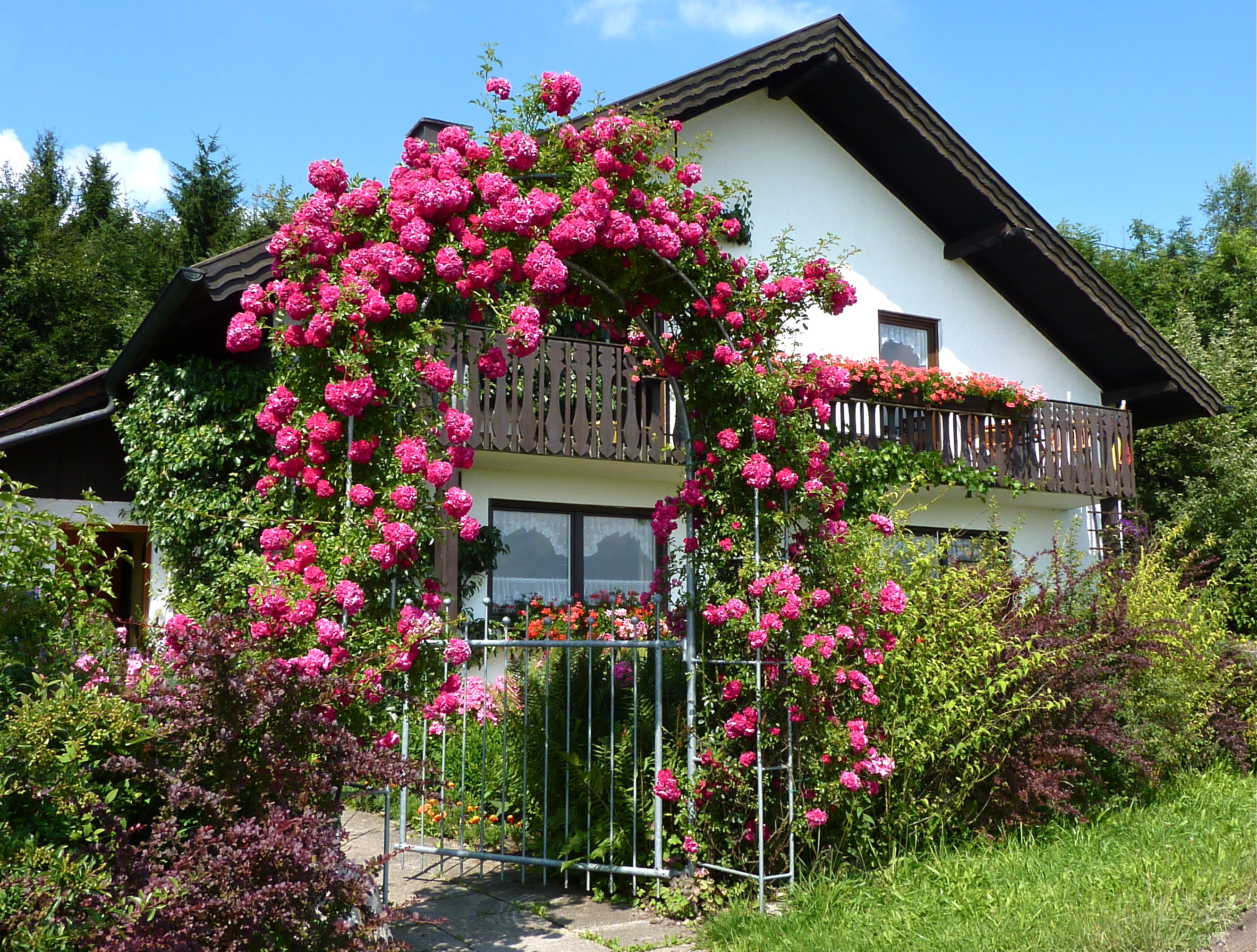 Foto: © goldbany - Fotolia