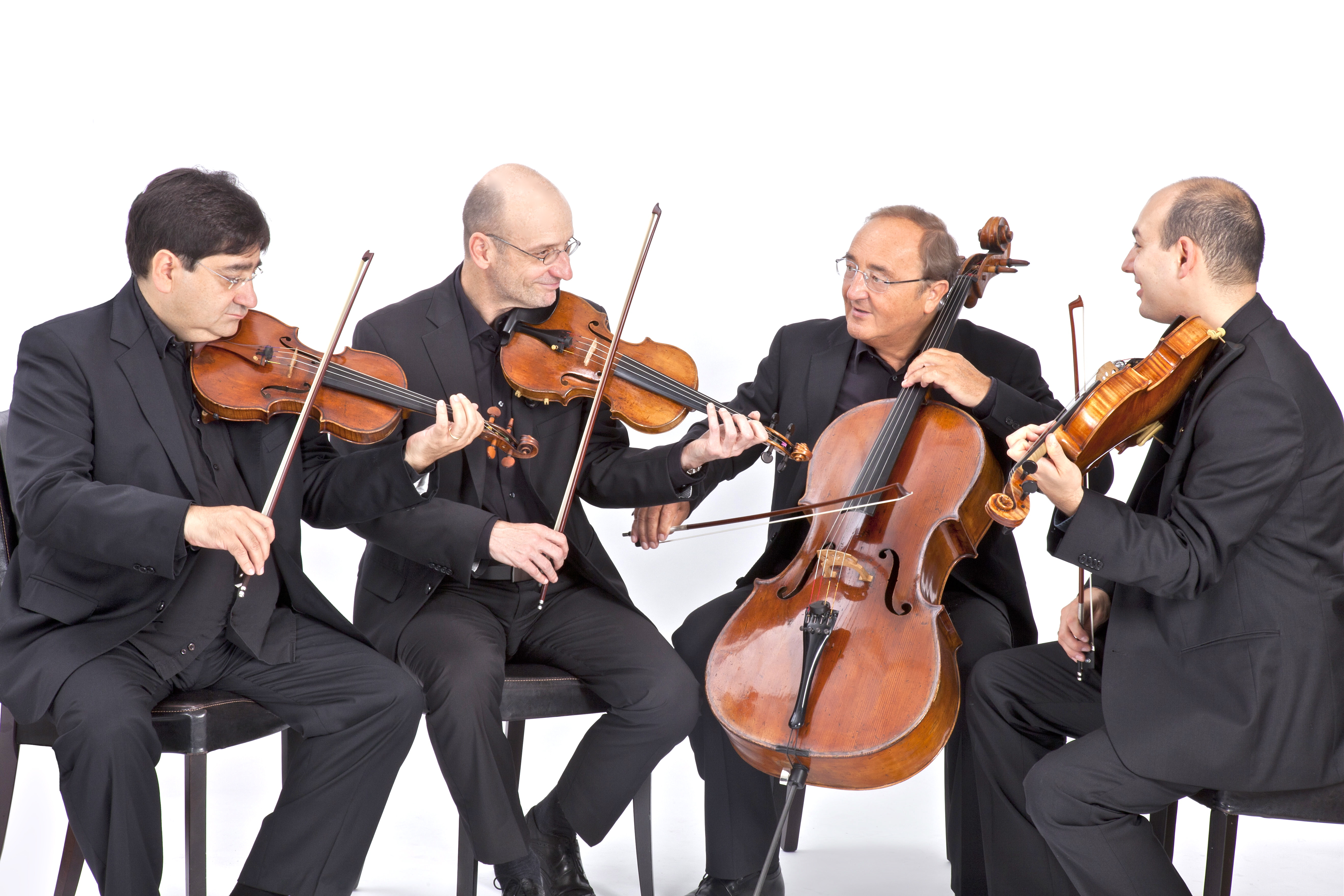 Das Bamberger Streichquartett. Foto: S. Krebs