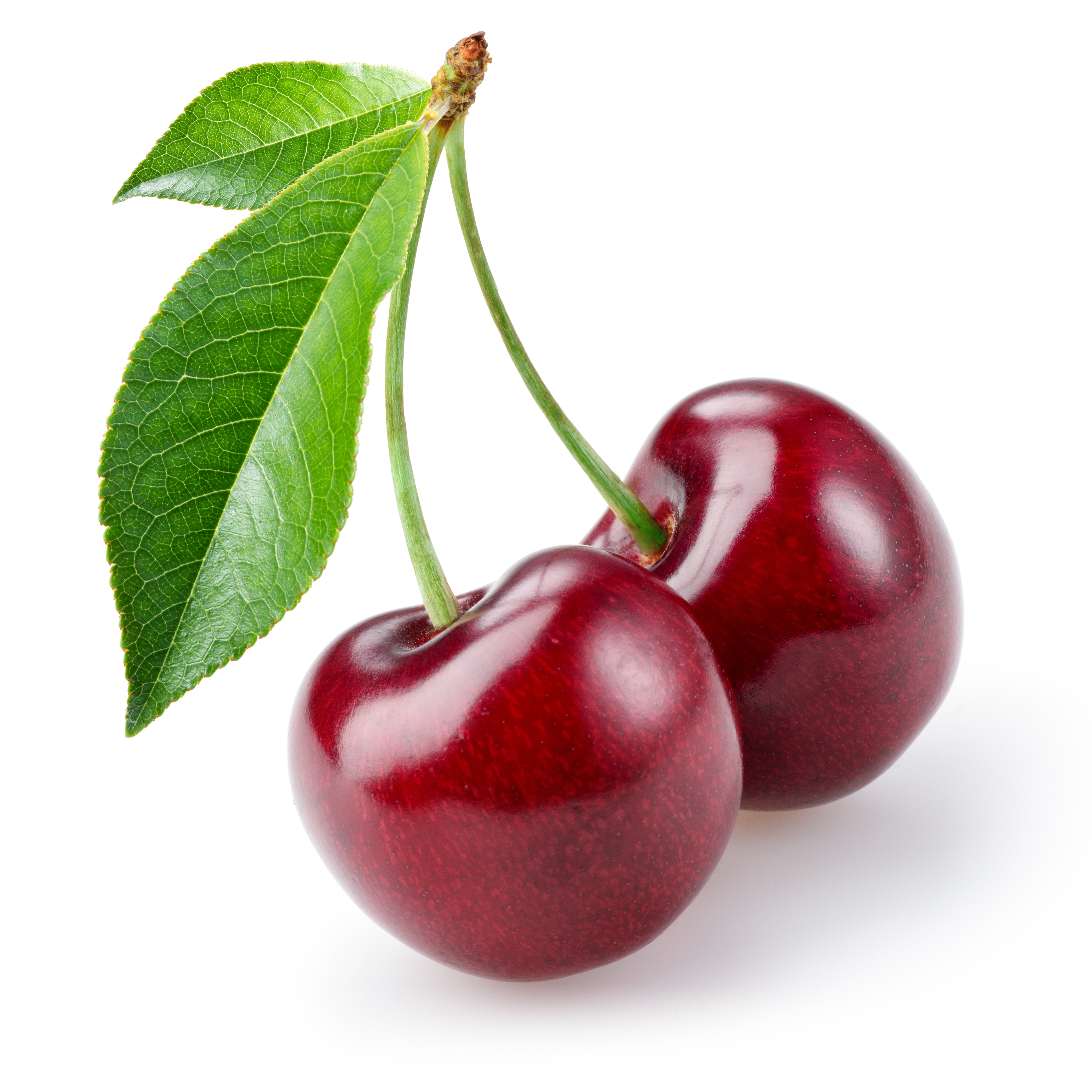 Foto: © Tim UR-fotolia.com