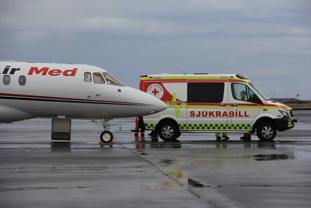 Die erste Teilstrecke des Rücktransports wurde in einem Ambulanzflieger der US-amerikanischen Firma Airmed zurückgelegt. Mit an Bord waren außer Dr. Scheffler noch ein dreiköpfiges Spezialteam aus Flugarzt, Intensivpfleger und Beatmungstechniker.