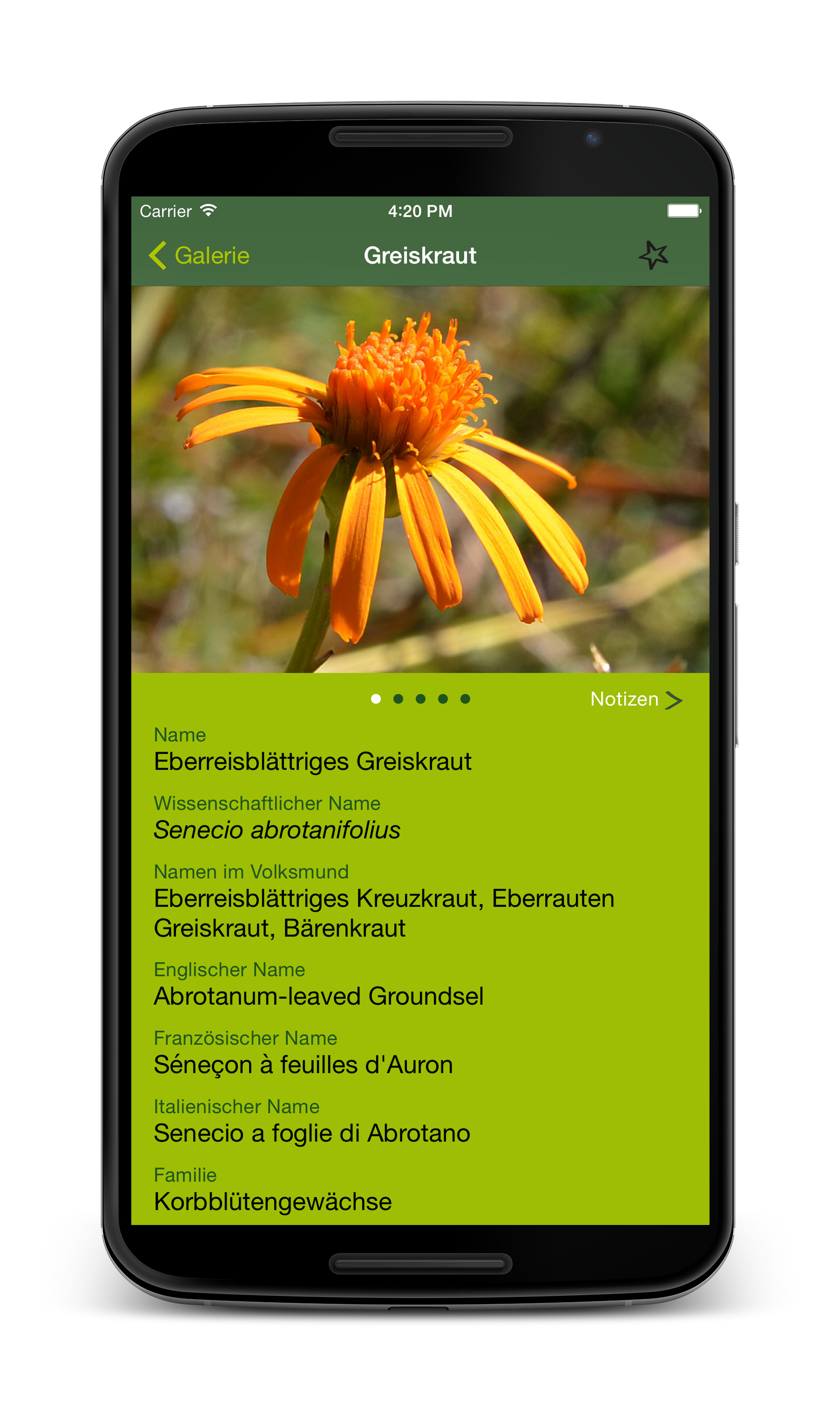 Mit über 12.000 Downloads ist der „Alpenblumen
Finder“ eine der erfolgreichsten Schweizer App.
