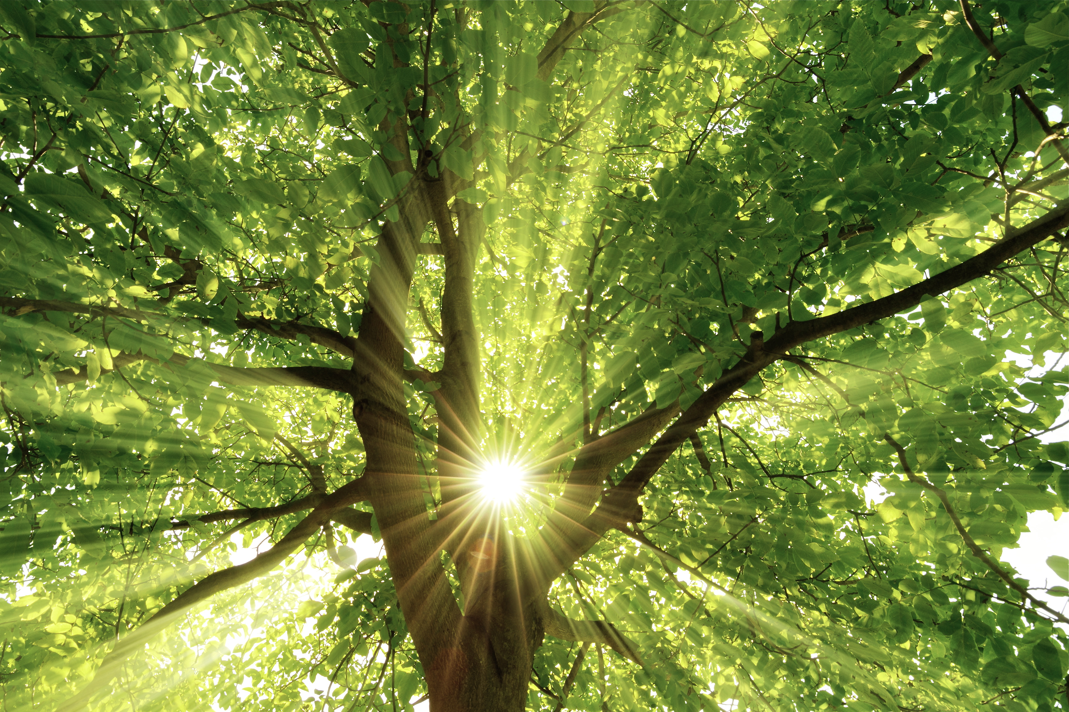 Foto: © Smileus-fotolia.com