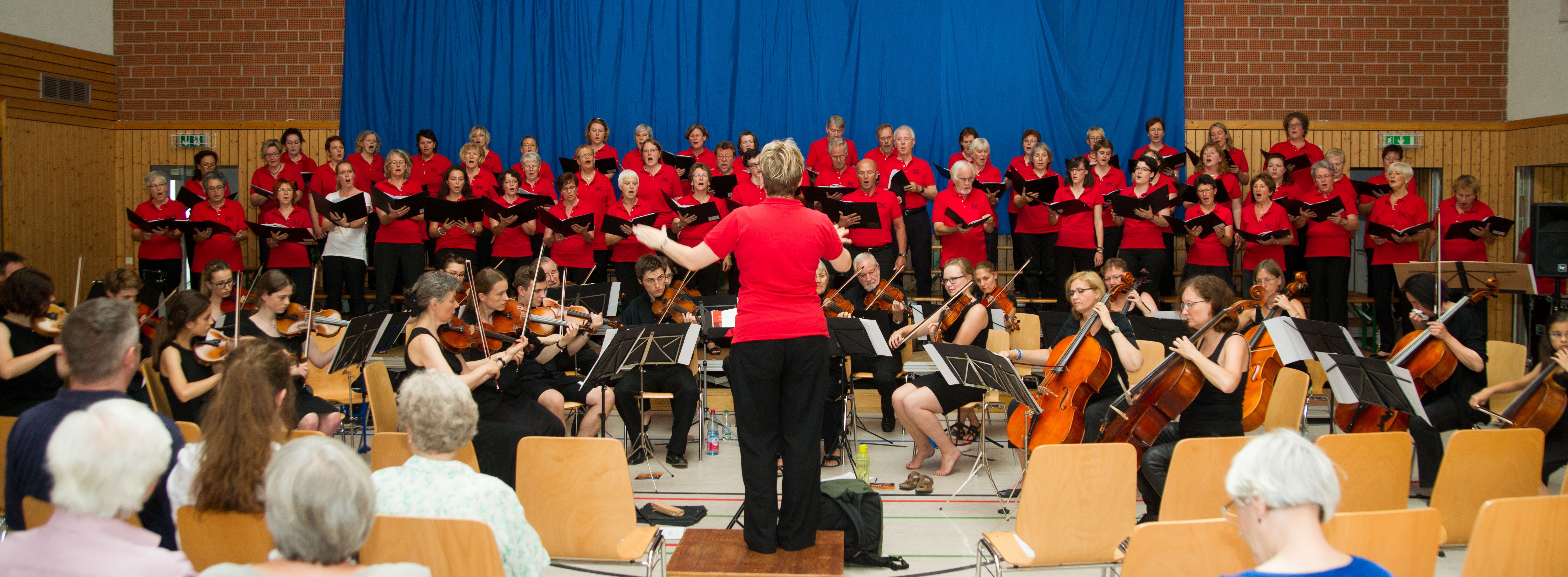 Der Dehnberger Hof Chor, die Laufer Stadtstreicher und künstlerische Leiterin Heike Henning (Bild: Privat)