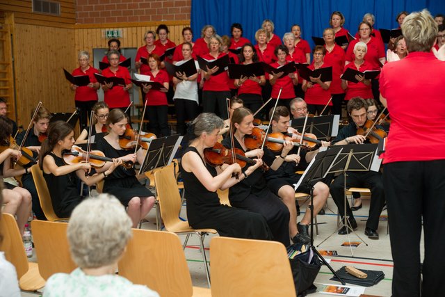 Die Laufer Stadtstreicher (Bild: Privat)