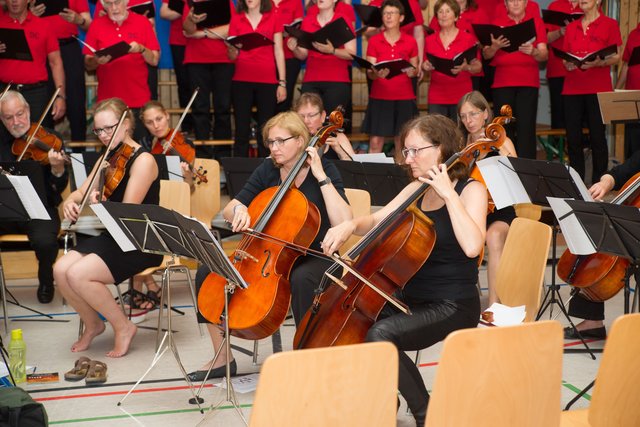 Die Laufer Stadtstreicher (Bild: Privat)