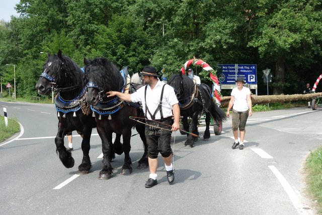 Der Kirchweihzug stößt auch heute noch auf großes Interesse. Viele Gruppen scheuen keine Kosten und Mühen, um mit dabei zu sein. | Foto: Veranstalter