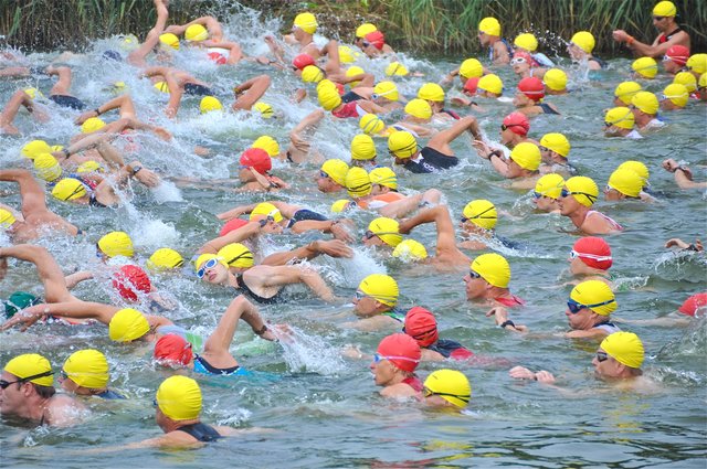 Traditionell kommt das Schwimmen beim Triathlon zuerst dran. Foto: Horst Bucher