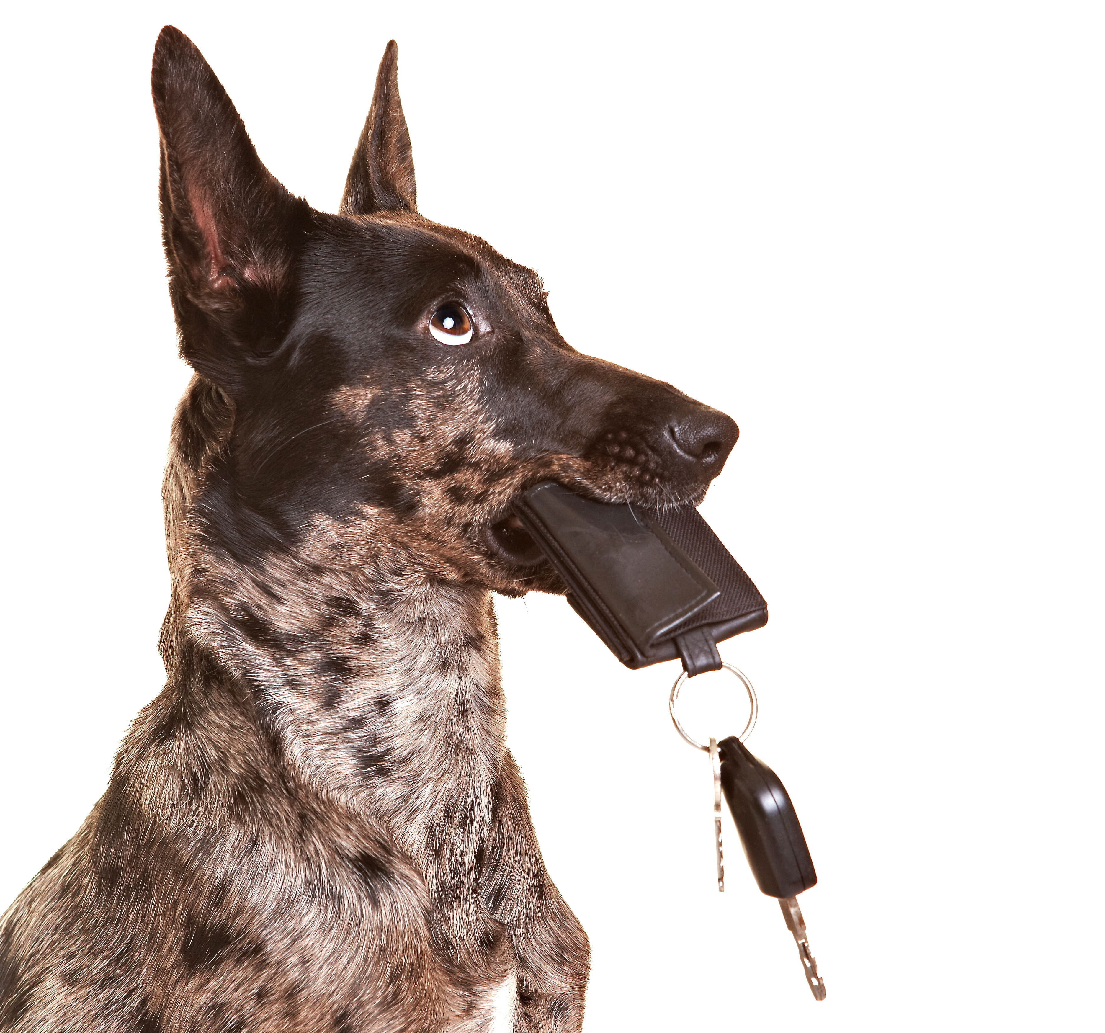 Symbolbild: © Robert Kneschke/Fotolia.com