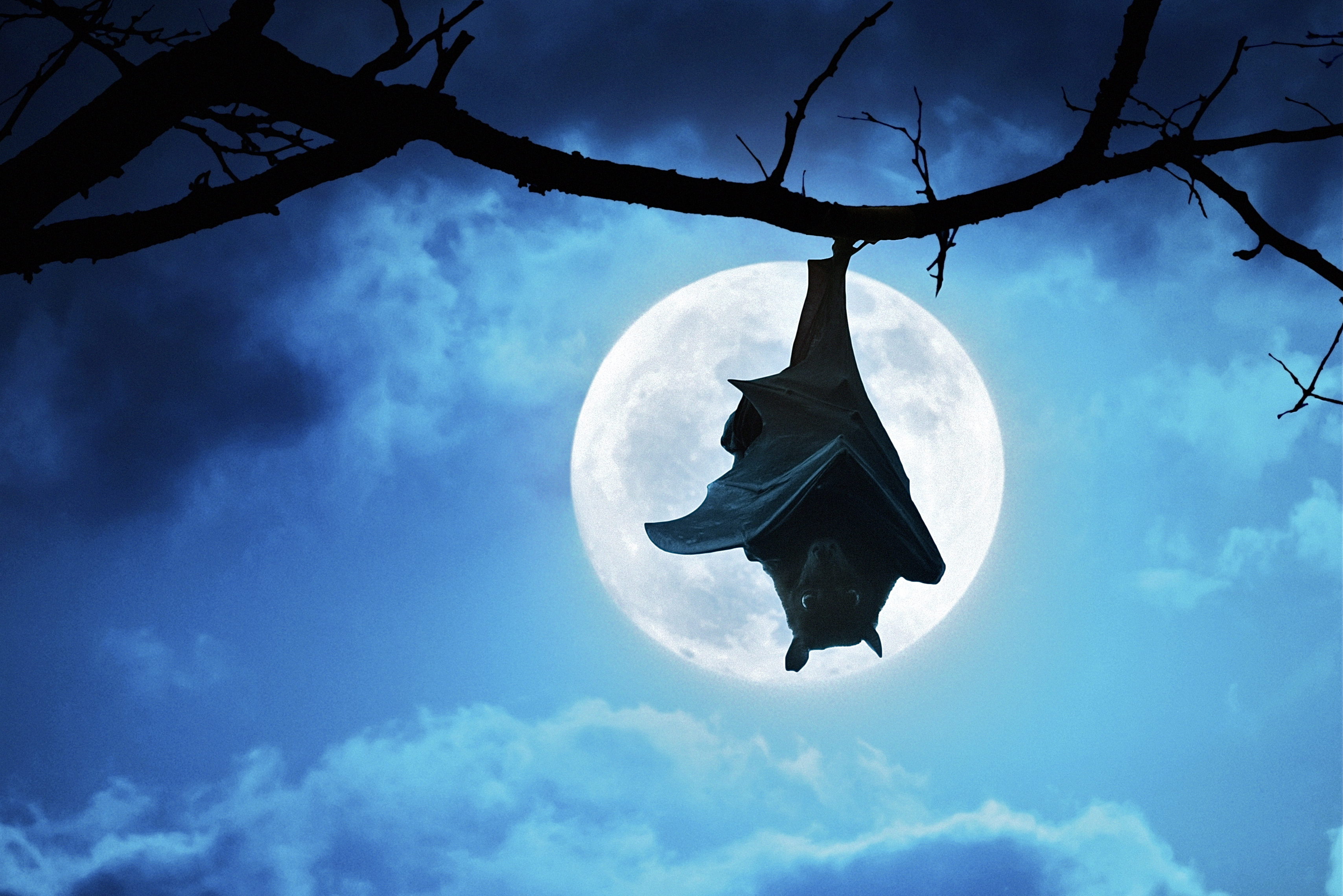 Bild: © ricardoreitmeyer/Fotolia.com