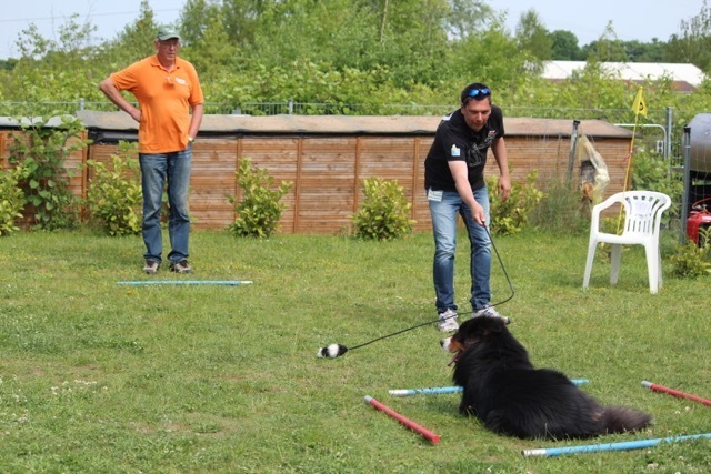 Gaudirallye bei den Bunten Hunden in Oberasbach.