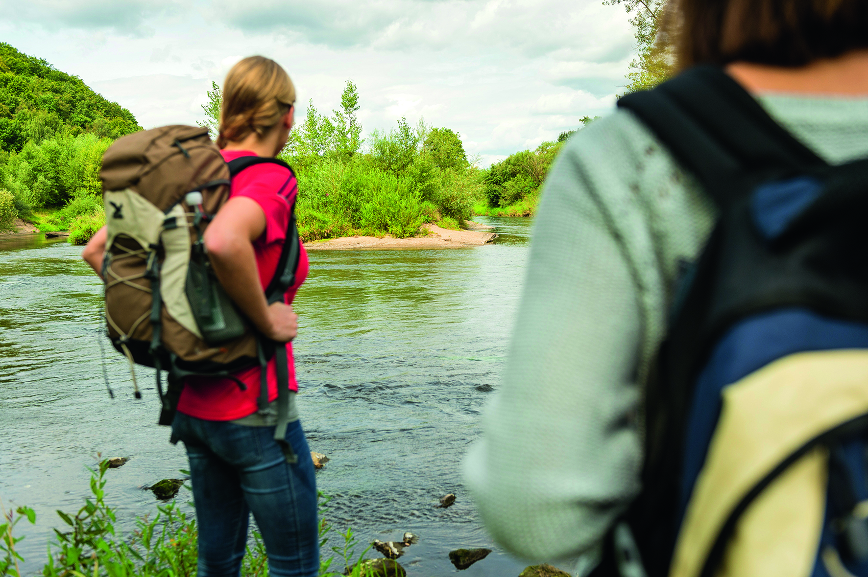 Wandern auf dem Sieben-Flüsse-Wanderweg: Die Maininsel bei Kemmern