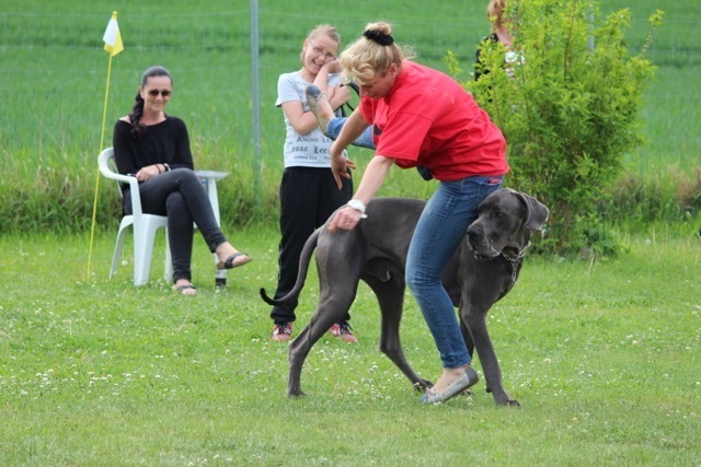 Gaudirallye bei den Bunten Hunden in Oberasbach.
