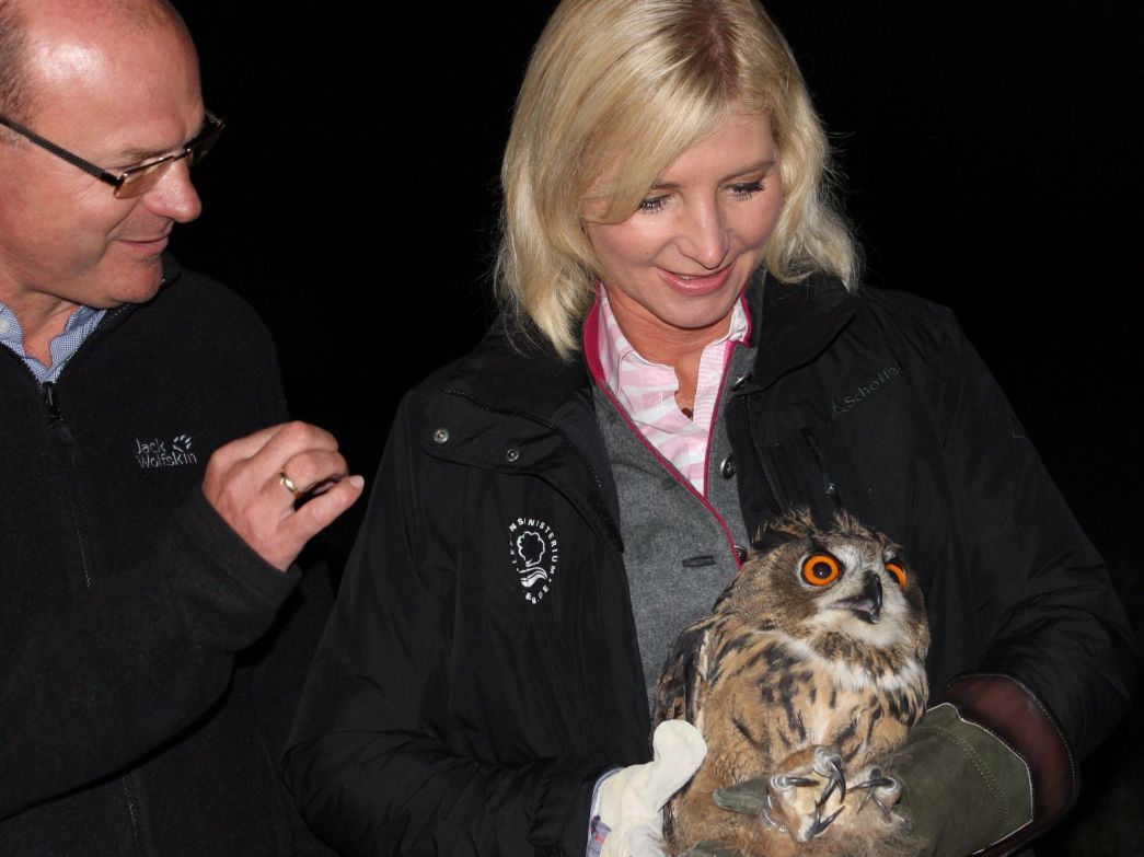 Umweltministerin Ulrike Scharf gibt dem jungen Uhu höchstpersönlich die Freiheit wieder.