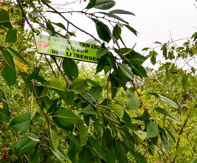 Kuss Weg Hollfeld: ,,Die Natur verneigt sich vor den Liebenden". | Foto: Nicole Fuchsbauer