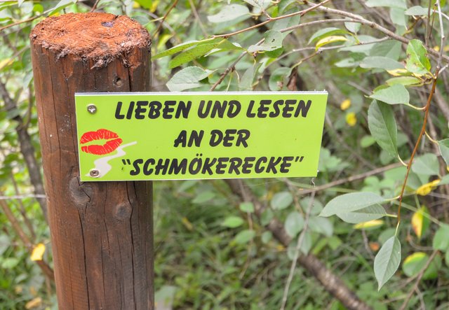 Wenn's mit der Liebe nicht so klappt - dann kann man immer noch ein interessantes Buch lesen... | Foto: Nicole Fuchsbauer