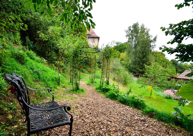 Blick zum Rosenhimmel. | Foto: Nicole Fuchsbauer