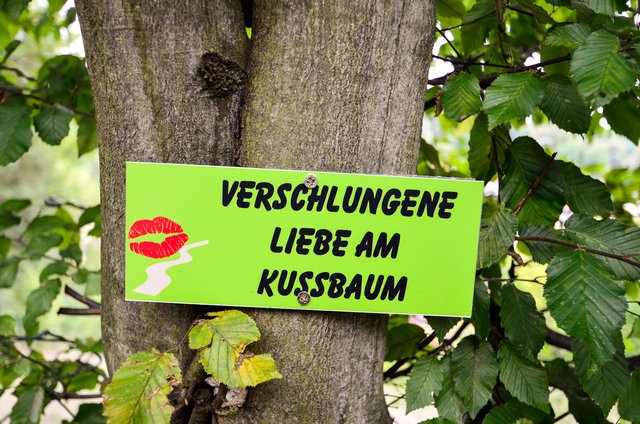 Kuss Weg Hollfeld. | Foto: Nicole Fuchsbauer
