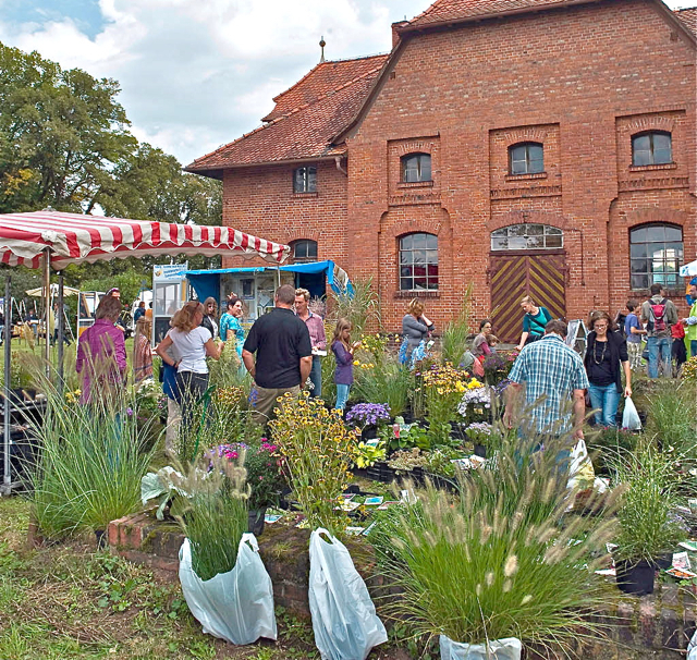 Im Wolfgangshof wird ein bunter Markt mit vielen grünen Ideen und Anregungen geboten.