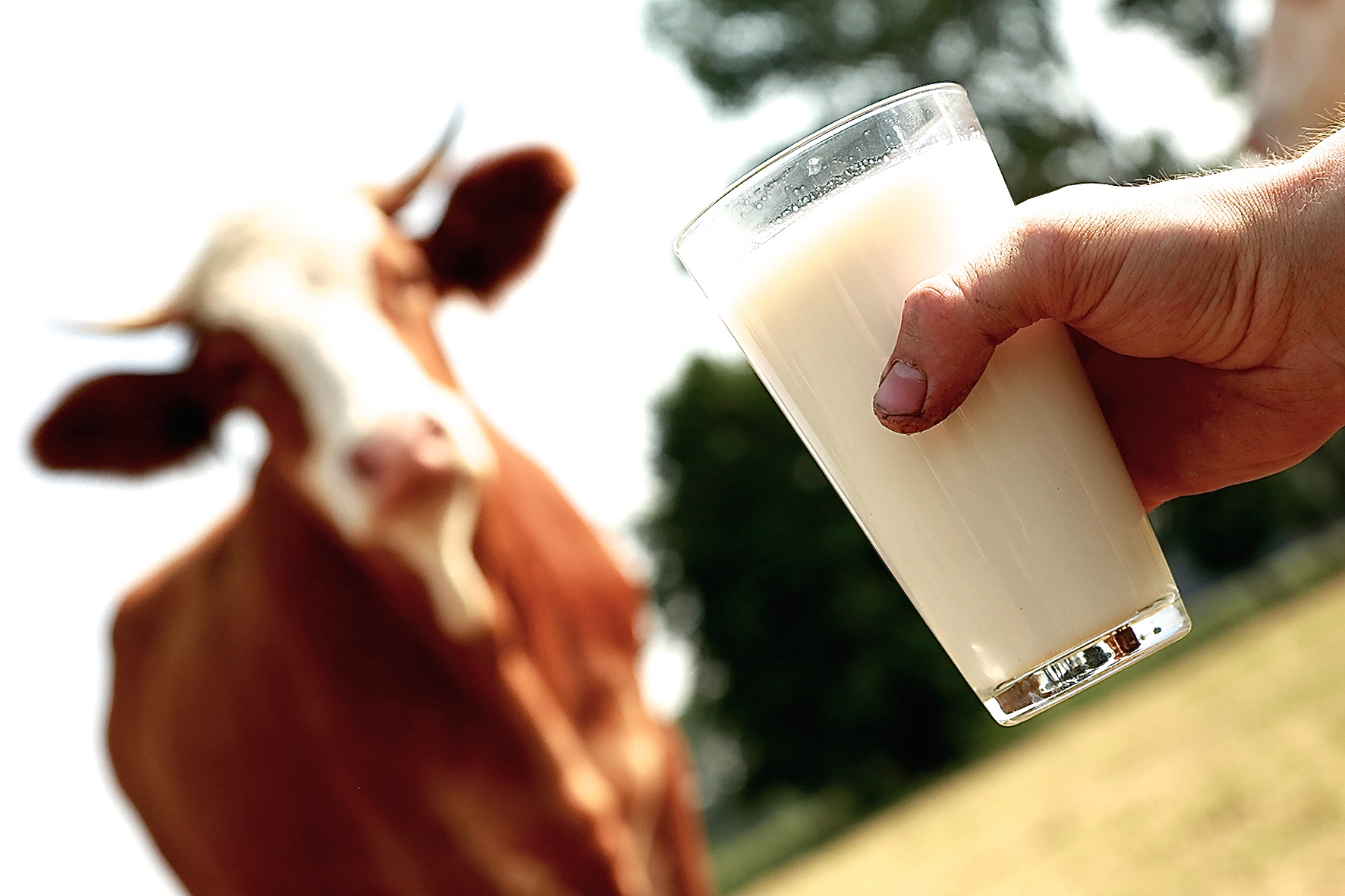 „Gute Milch muss ihren Preis haben“ – so eine zentrale Forderung der Gewerkschaft Nahrung-Genuss-Gaststätten (NGG). Foto: NGG