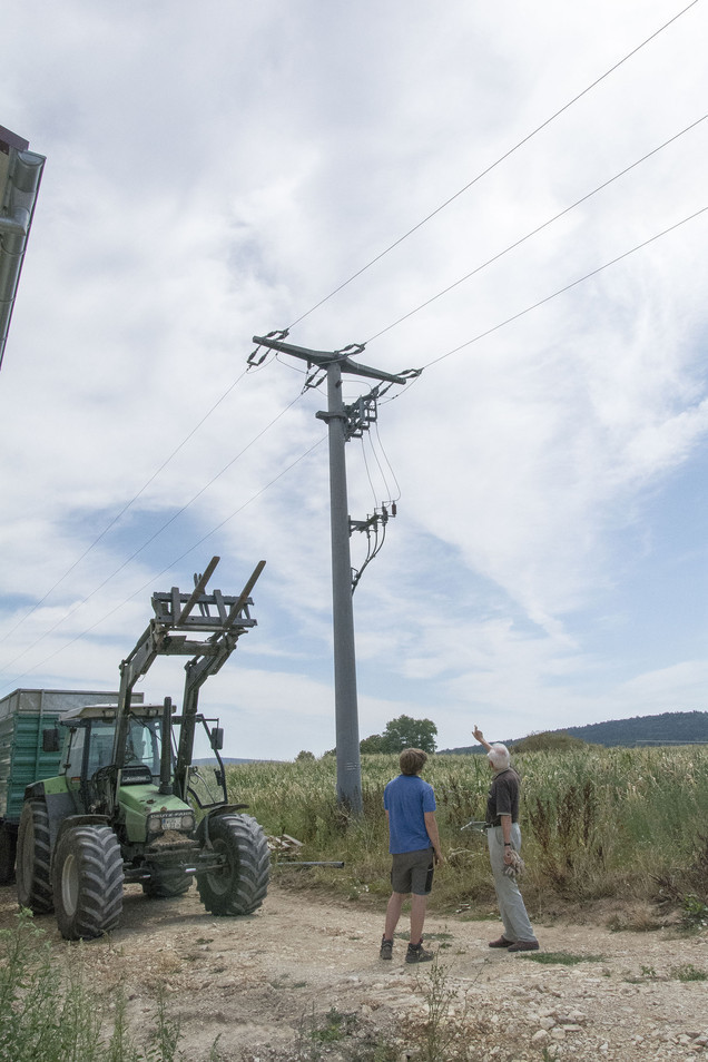 Ungesicherter Mast bei Trommetsheim.