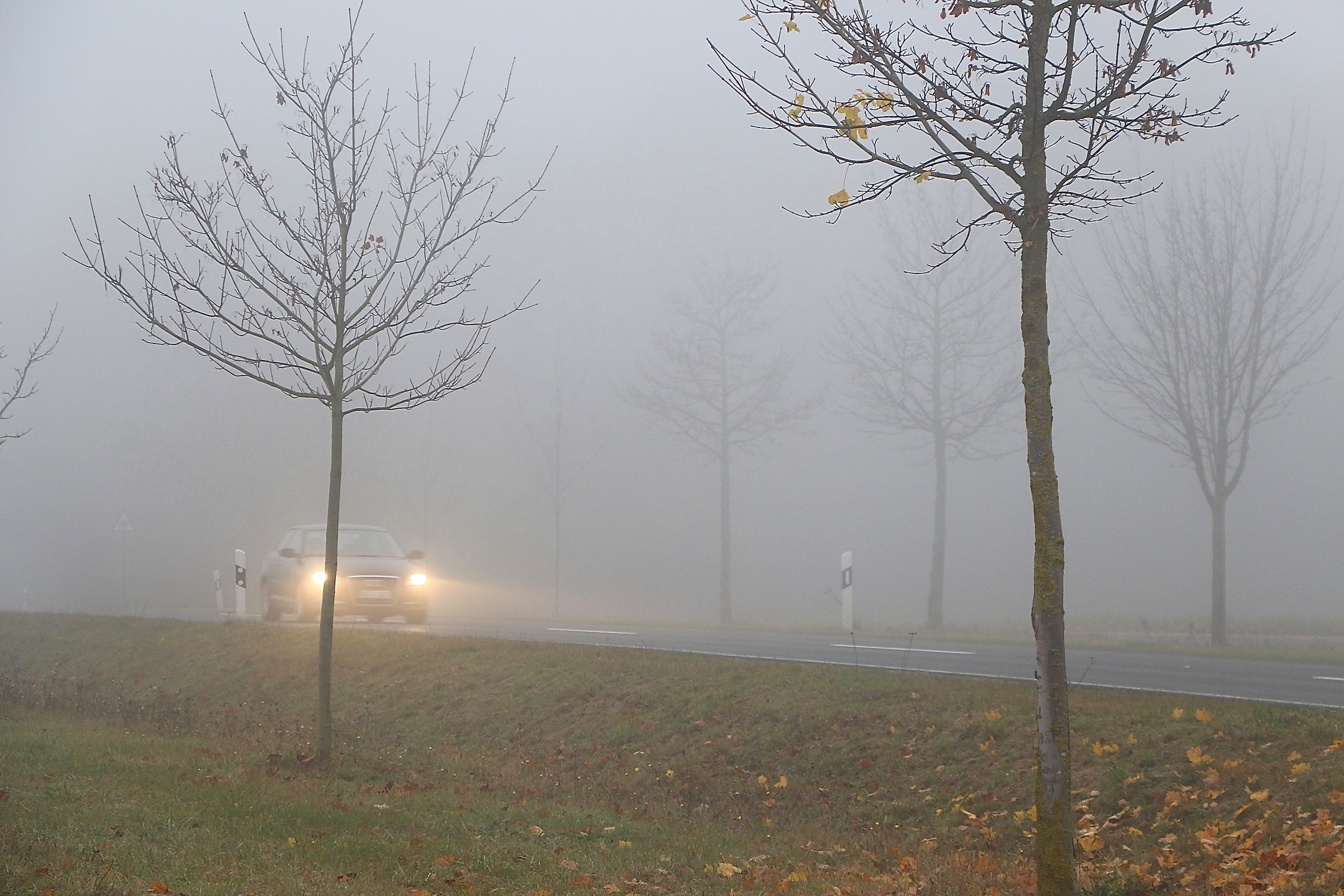 Bei einer Fahrt durch Nebel gelten für Autofahrer gesetzlich festgelegte Verhaltensweisen. Foto: Auto-Medienportal.Net/ARCD