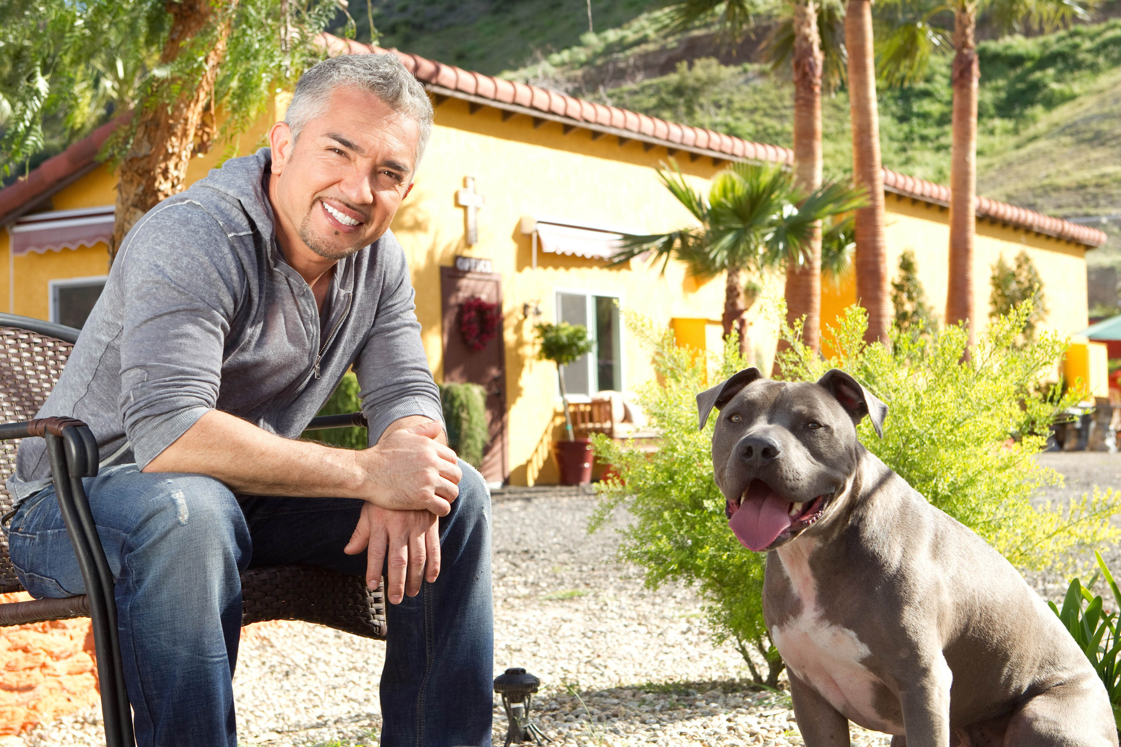 Der Hundeflüsterer Cesar Millan mit ,,Junior". Der MarktSpiegel verlost ein Meet & Greet für die Show in der Arena Nürnberger Versicherung.