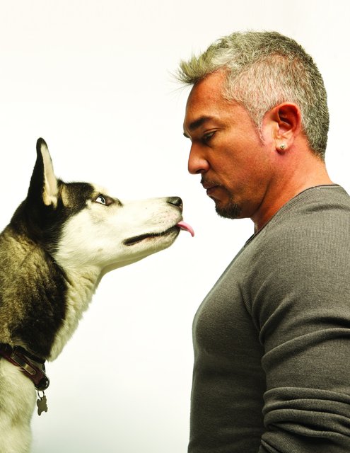 Cesar Millan ist der ,,Hundeflüsterer". | Foto: ARGO