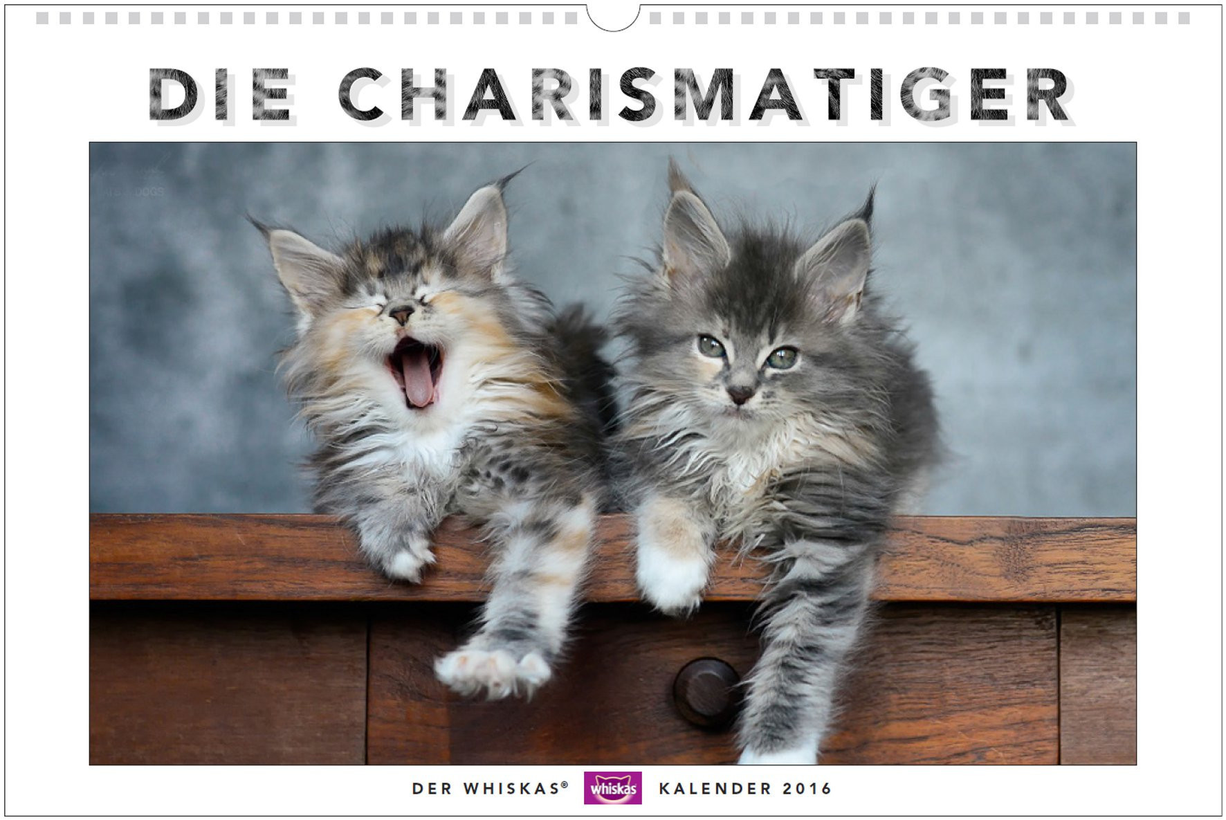 Der Whiskas Kalender begleitet durch das Jahr 2016.