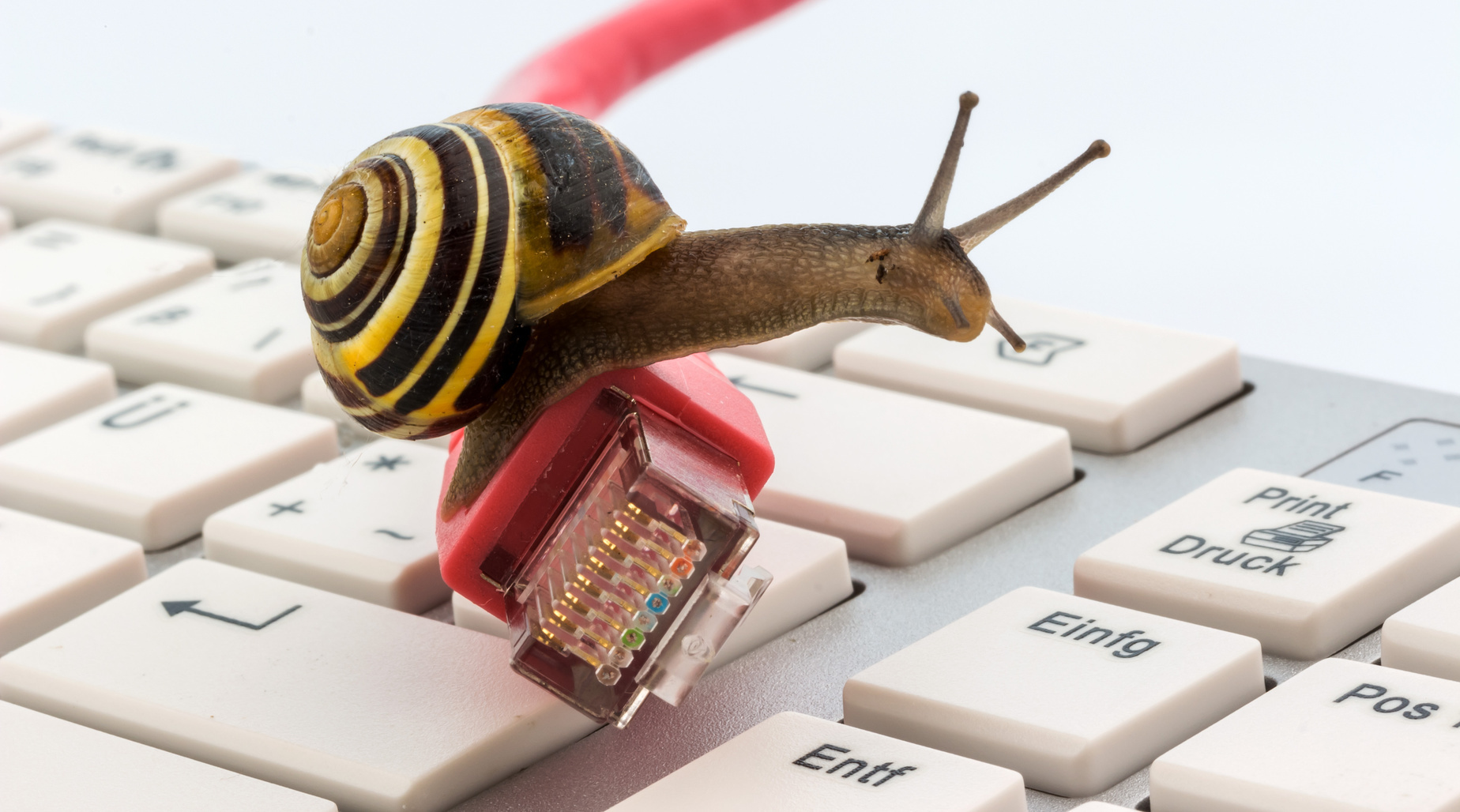 Endlich weg von der Kriechspur: Auch die bisher unterversorgten Teile Nürnbergs sollen mit schnellem Internet versorgt werden.