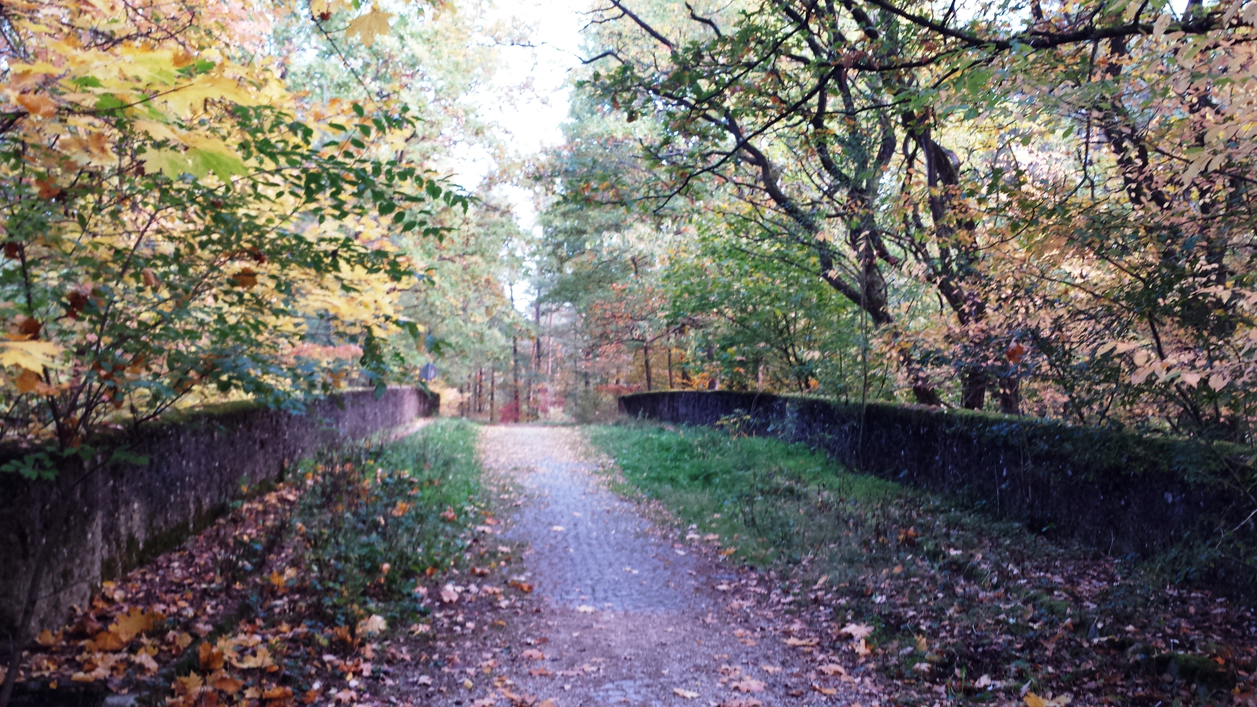 Die steinerne Brücke