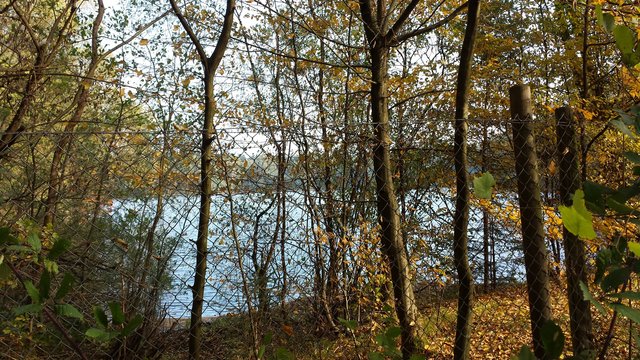 Weißensee