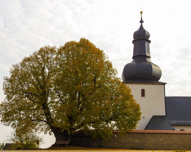 Turm der Wehrkirche flankiert von der alten Linde. | Foto: Nicole Fuchsbauer