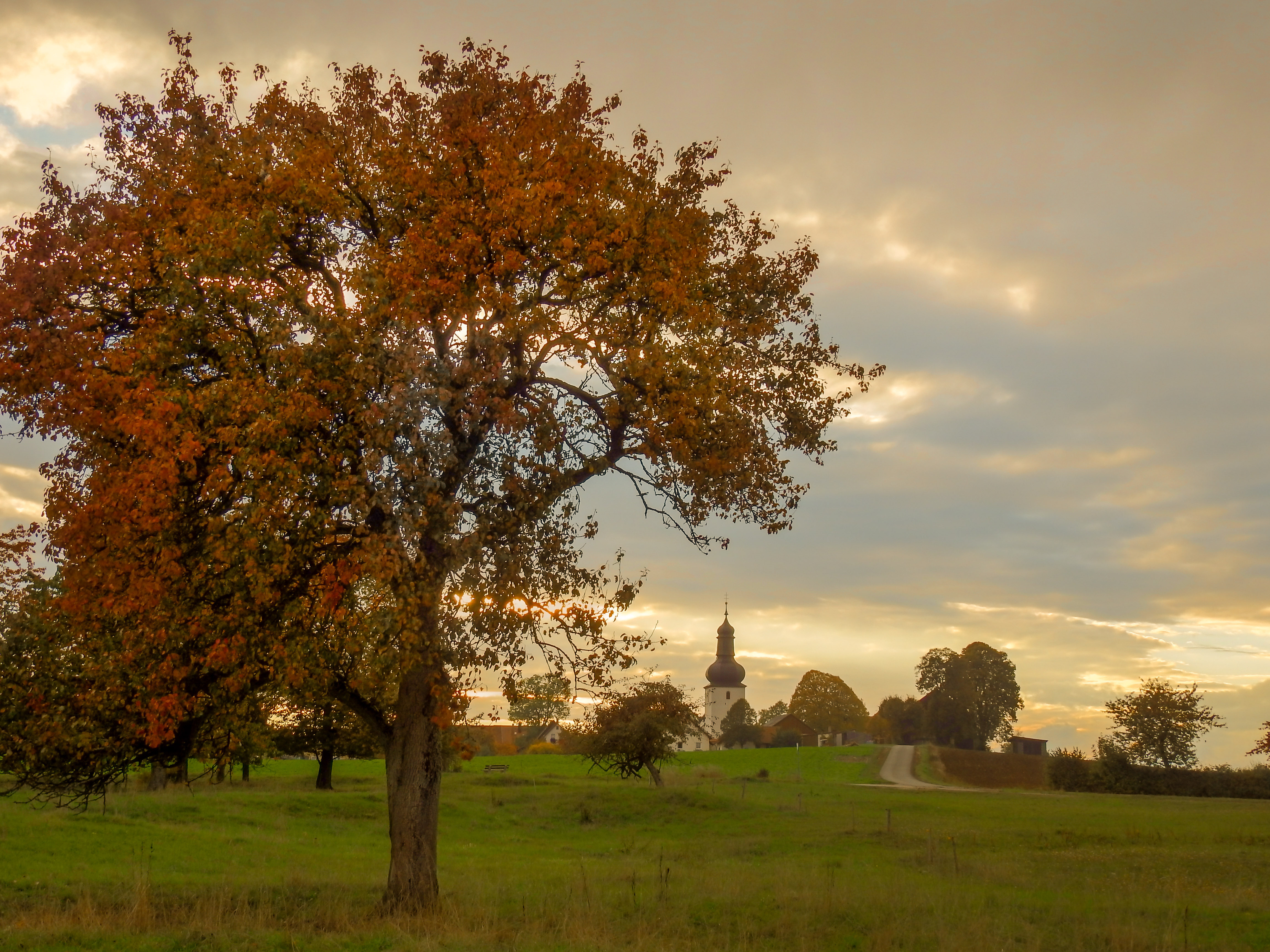 Blick vom Keltischen Friedhof auf die Wehrkirche St. Laurentius und Heinrich in Hohenpölz.