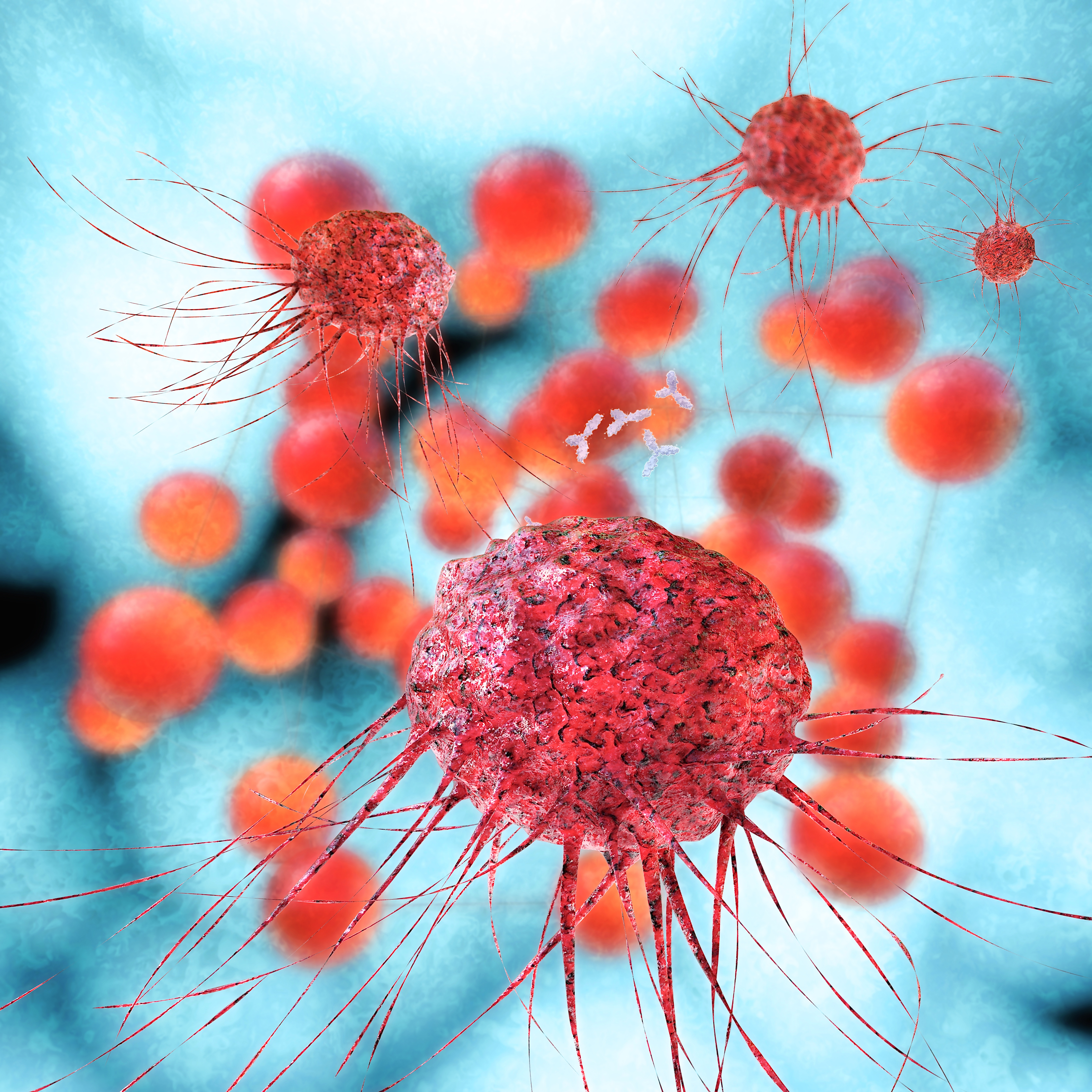 Stimmt das körpereigene Immunsystem nicht, muss beim Bekämpfen von Krebszellen „nachgeholfen“ werden. Foto: © fotoliaxrender/Fotolia.com