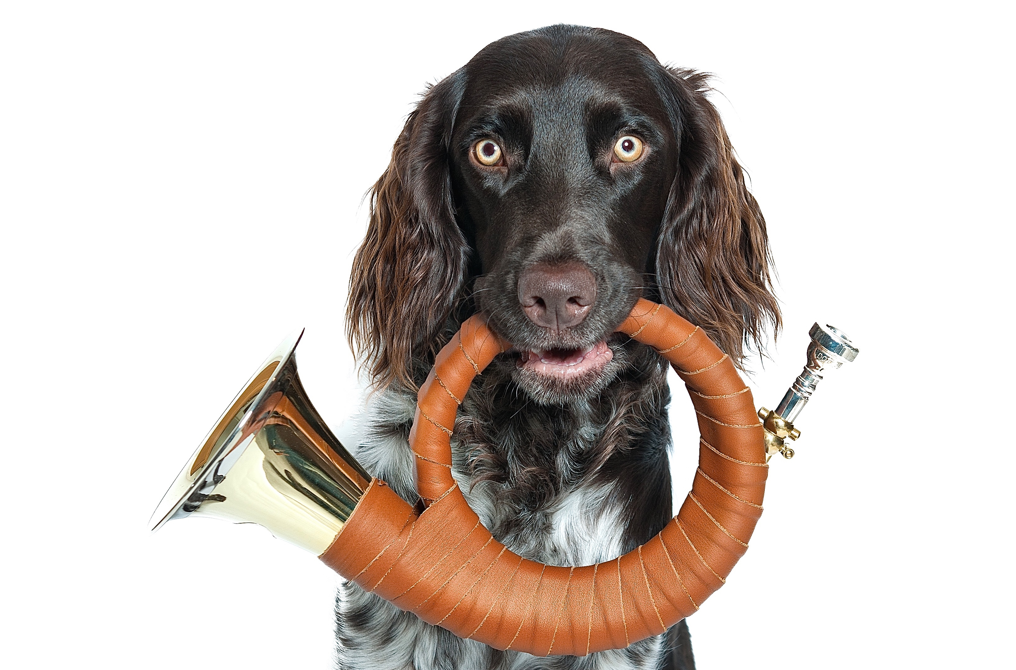 Symbolbild: © dermathias2/Fotolia.com