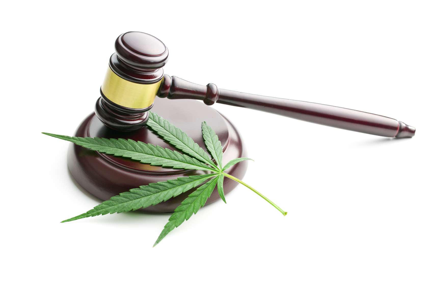 Das Bayerische Innenministerium legt das Volksbegehren ,,Ja zur "Legalisierung von Cannabis in Bayern" als Rohstoff, Medizin und Genussmittel" dem Verfassungsgerichtshof vor.