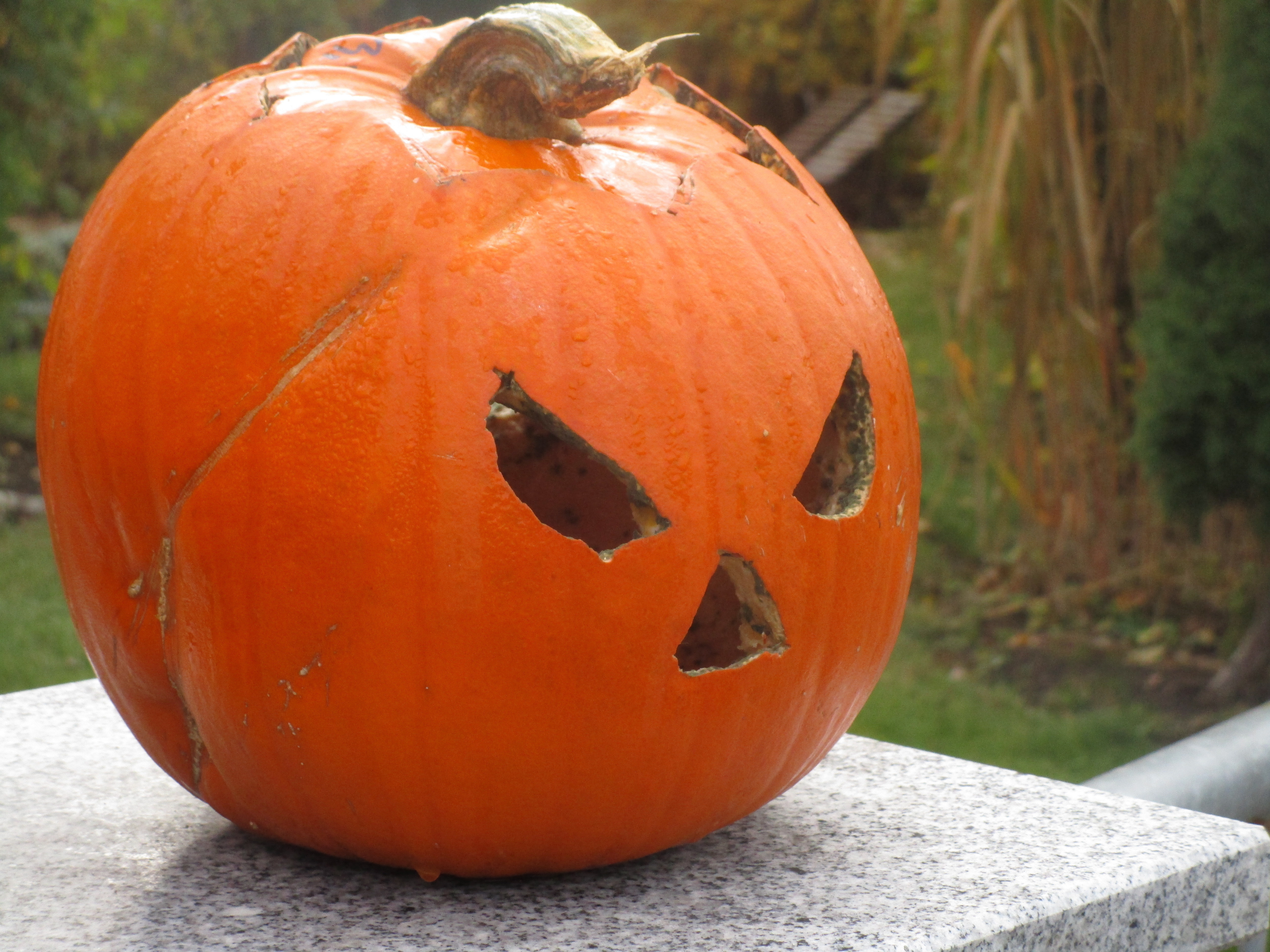 Trick oder treat? Süßes oder Saures?